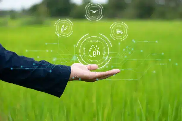 The Evolution of Agricultural Supply Chains in India: Trends and Innovations