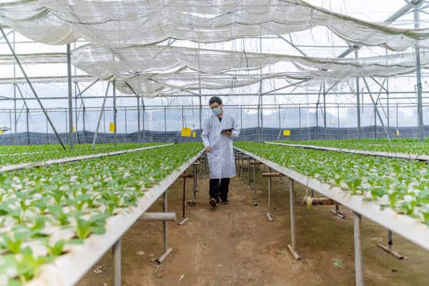 Modern Warehouse Solutions for India’s Diverse Agricultural Landscape