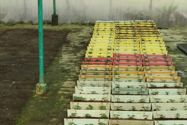 Agri-logistics challenges and solutions for India’s fragmented markets