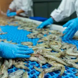 Order Processing